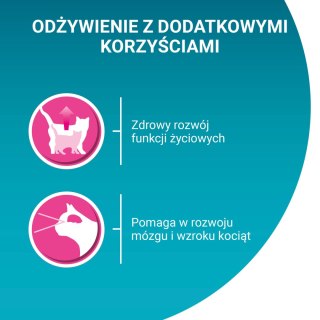 PURINA ONE Purina One Junior Karma Dla Kociąt Z Łososiem I Marchewką 85g