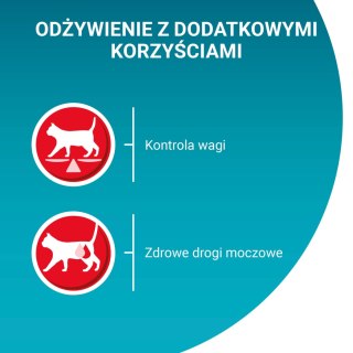 PURINA ONE Purina One Sterilcat Karma Dla Kota Z Indykiem I Zieloną Fasolką 85g