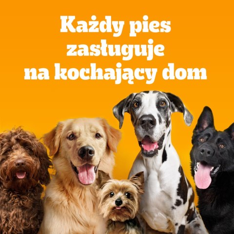 Pedigree Pedigree Adult Professional Nutrition Drób Warzywa 12kg