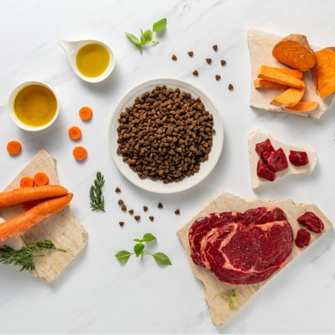 RAW PALEO VetExpert Raw Paleo Ultra Beef Adult Medium/Large 10kg