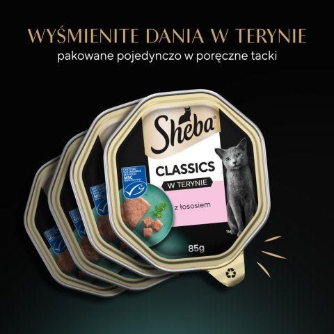 Sheba SHEBA® Classics Rybne Smaki 32x85g