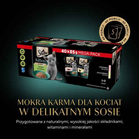Sheba Sheba Kitten Wybór Smaków W Sosie Karma Dla Kociąt 40x85g
