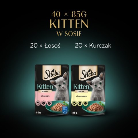 Sheba Sheba Kitten Wybór Smaków W Sosie Karma Dla Kociąt 40x85g