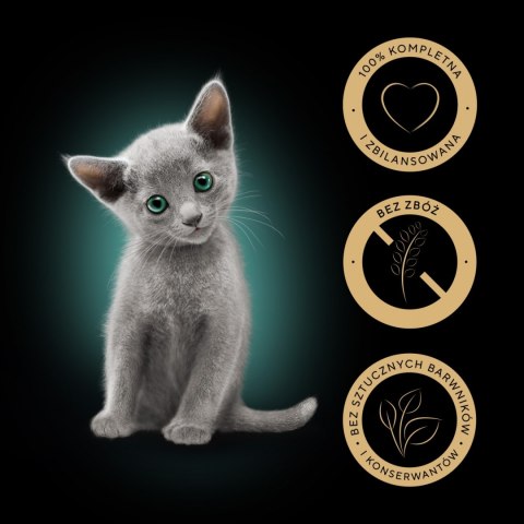 Sheba Sheba Kitten Wybór Smaków W Sosie Karma Dla Kociąt 40x85g