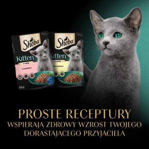 Sheba Sheba Kitten Wybór Smaków W Sosie Karma Dla Kociąt 40x85g