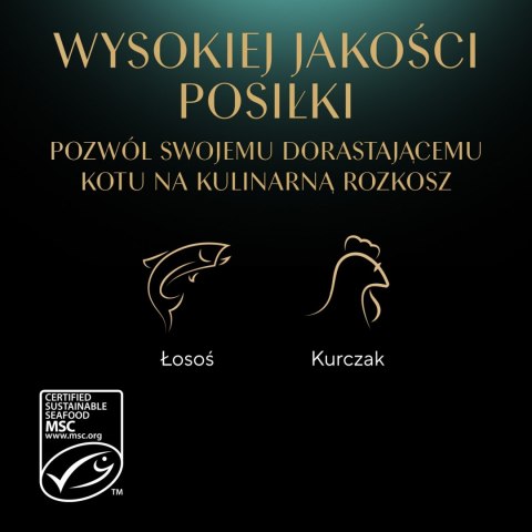 Sheba Sheba Kitten Wybór Smaków W Sosie Karma Dla Kociąt 40x85g