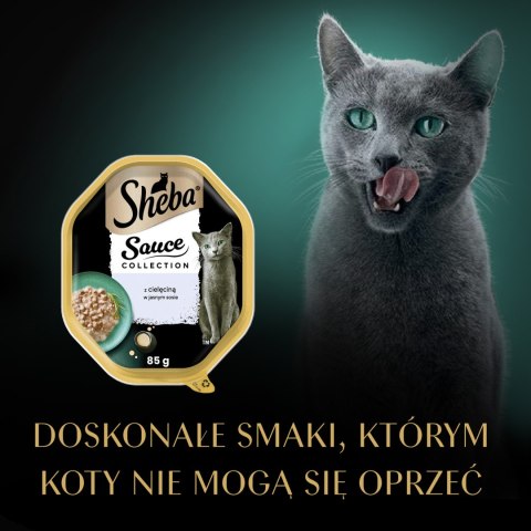 Sheba Sheba Sauce Collection Karma Mokra Dla Kota Z Cielęciną W Sosie 85g
