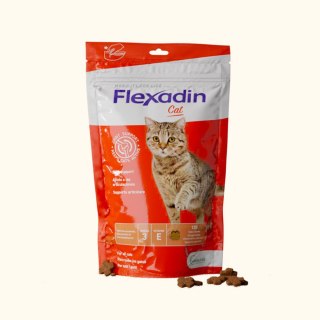 Vetoquinol VETOQUINOL Flexadin Cat 60 kąsków