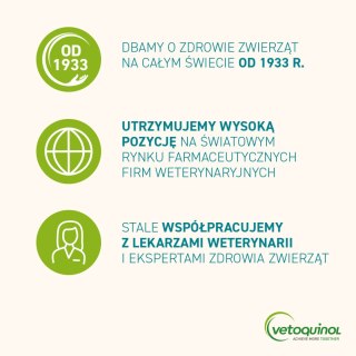 Vetoquinol VETOQUINOL Flexadin Cat 60 kąsków