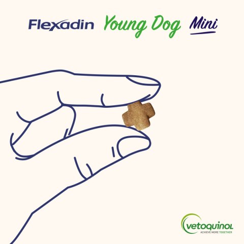 Vetoquinol VETOQUINOL Flexadin Young Dog Mini 60 kąsków