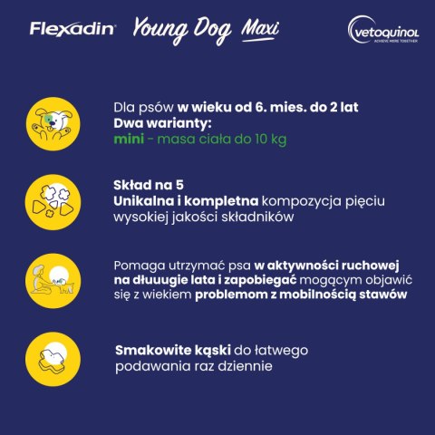 Vetoquinol VETOQUINOL Flexadin Young Dog Mini 60 kąsków