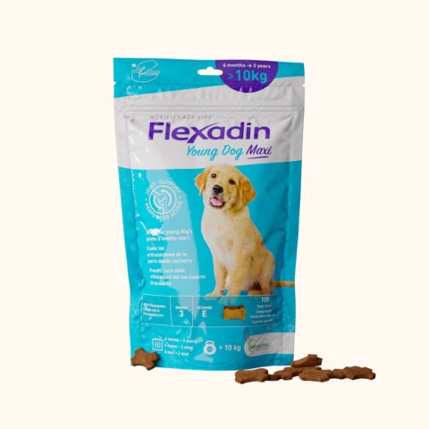 Vetoquinol Vetoquinol Flexadin Young Dog Maxi Kąski Dla Psa 60 Sztuk