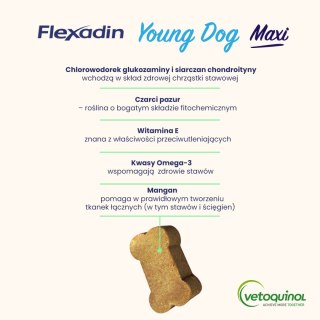 Vetoquinol Vetoquinol Flexadin Young Dog Maxi Kąski Dla Psa 60 Sztuk