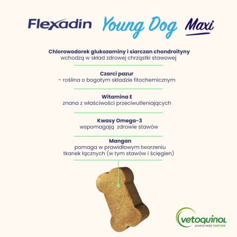 Vetoquinol Vetoquinol Flexadin Young Dog Maxi Kąski Dla Psa 60 Sztuk