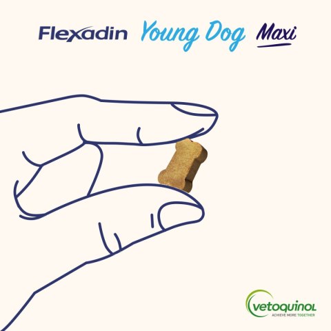 Vetoquinol Vetoquinol Flexadin Young Dog Maxi Kąski Dla Psa 60 Sztuk
