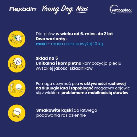 Vetoquinol Vetoquinol Flexadin Young Dog Maxi Kąski Dla Psa 60 Sztuk