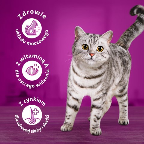 Whiskas Whiskas Adult Karma Sucha Dla Kotów Kurczak 1,4kg