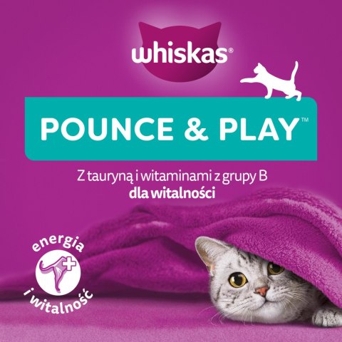 Whiskas Whiskas Energia I Witalność Przysmak Dla Kota Z Kurczakiem 45g