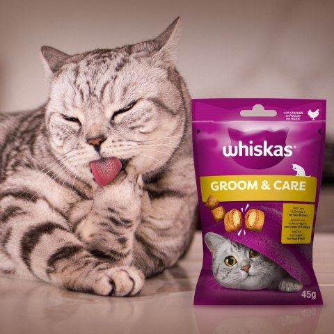 Whiskas Whiskas Zdrowy Blask Przysmak Dla Kota Z Kurczakiem 45g