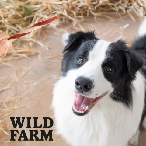 Wild Farm Wild Farm Kanapka Z Kaczką 500g Przysmak Dla Psa