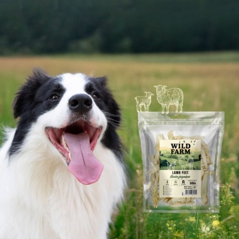 Wild Farm Wild Farm Racice Jagnięce 300g Przysmak Dla Psa