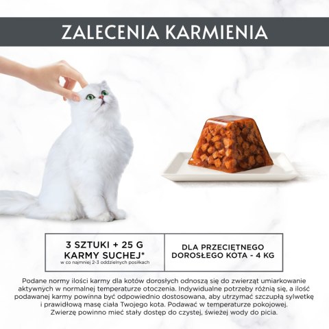 Gourmet GOURMET Revelations Delikatne Kawałki w Galaretce z Łososiem 2x57g