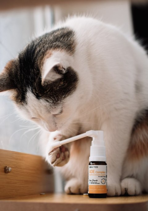 LAB-V Lab-v ADE Complex Kompleks Witamin A, D I E W Formie Spreju Dla Psów I Kotów 2 x 10ml