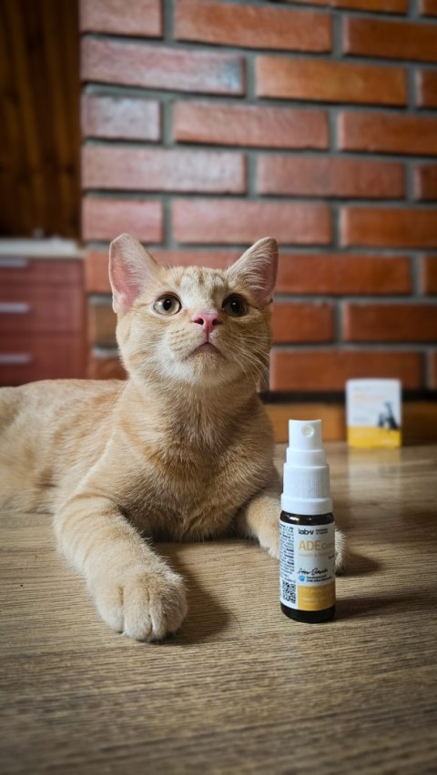 LAB-V Lab-v ADE Complex Kompleks Witamin A, D I E W Formie Spreju Dla Psów I Kotów 2 x 10ml