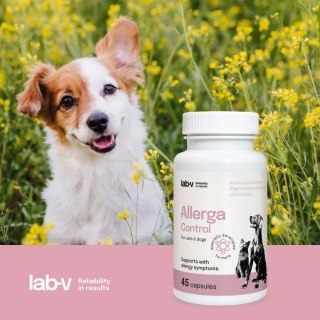 LAB-V Lab-v Allerga Control Wsparcie Przy Objawach Alergii 45 Kapsułek