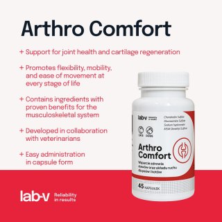 LAB-V Lab-v Arthro Comfort Kompleksowe Wsparcie Zdrowia Stawów I Układu Ruchu Dla Psów I Kotów 45 Kapsułek