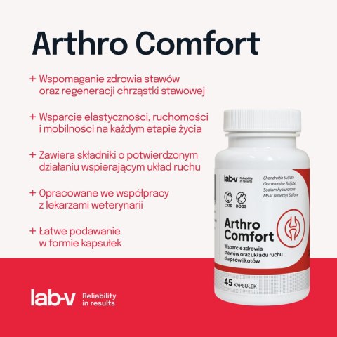 LAB-V Lab-v Arthro Comfort Kompleksowe Wsparcie Zdrowia Stawów I Układu Ruchu Dla Psów I Kotów 45 Kapsułek