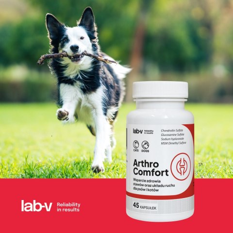 LAB-V Lab-v Arthro Comfort Kompleksowe Wsparcie Zdrowia Stawów I Układu Ruchu Dla Psów I Kotów 45 Kapsułek