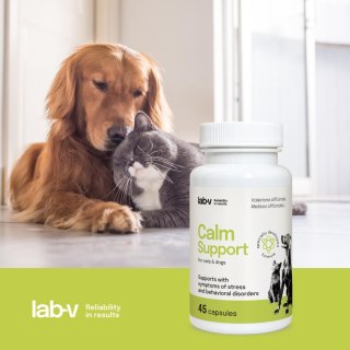 LAB-V Lab-v Calm Support Wspomaganie Przy Objawach Stresu I Zaburzeniach Behawioralnych 45 Kapsułek