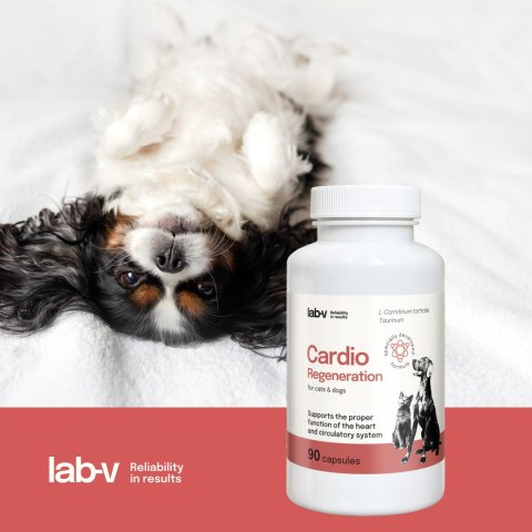 LAB-V Lab-v Cardio Regeneration 90 kapsułek - wsparcie serca dla psów i kotów