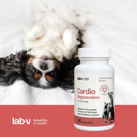 LAB-V Lab-v Cardio Regeneration Wsparcie Prawidłowego Funkcjonowania Pracy Serca I Układu Krążenia Dla Psów I Kotów 45 Kapsułek