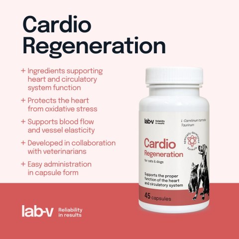LAB-V Lab-v Cardio Regeneration Wsparcie Prawidłowego Funkcjonowania Pracy Serca I Układu Krążenia Dla Psów I Kotów 45 Kapsułek