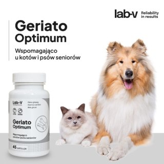 LAB-V Lab-v Geriato Optimum Wspomaganie Zdrowia Seniorów Dla Psów I Kotów 45 Kapsułek