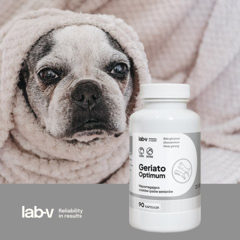 LAB-V Lab-v Geriato Optimum Wspomaganie Zdrowia Seniorów Dla Psów I Kotów 90 Kapsułek