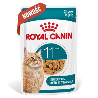 Royal Canin Royal Canin Senior Ageing 11+ — mokra karma w galaretce dla kotów starszych, 12 x 85 g