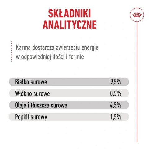 Royal Canin Royal Canin Senior Ageing 11+ — mokra karma w galaretce dla kotów starszych, 12 x 85 g