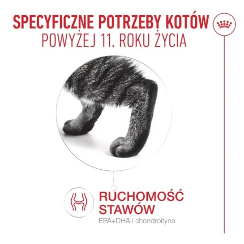Royal Canin Royal Canin Senior Ageing 11+ — mokra karma w galaretce dla kotów starszych, 12 x 85 g