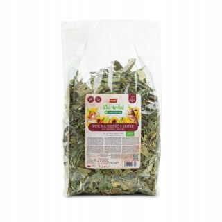 Vitapol Vitapol Vita Herbal Functional Mix Sierść I Skóra 300g