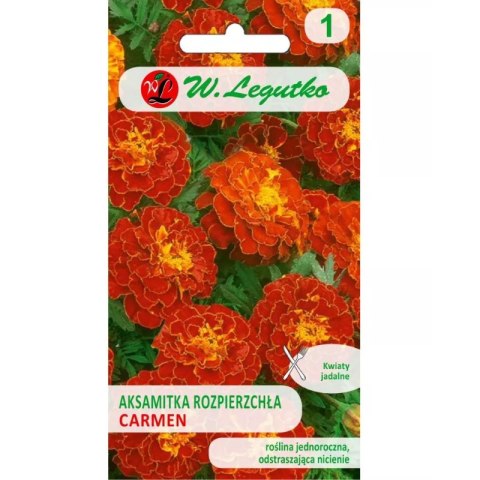 W.Legutko Aksamitka rozpierzchła Carmen mahoniowo-czerwona 1.50g