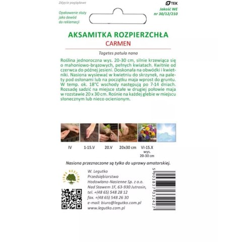 W.Legutko Aksamitka rozpierzchła Carmen mahoniowo-czerwona 1.50g