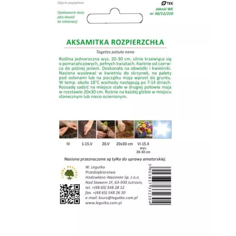 W.Legutko Aksamitka rozpierzchła pełnokwiatowa, pomarańczowa - 1 g