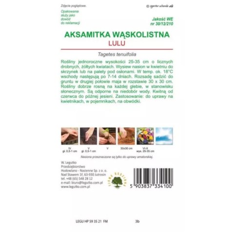 W.Legutko Aksamitka wąskolistna 'Lulu' - kwiaty cytrynowo-żółte