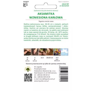 W.Legutko Aksamitka wzniesiona mieszanka karłowa