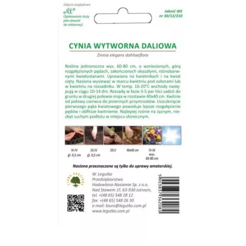 Cynia wytworna daliowa, mieszanka kolorów