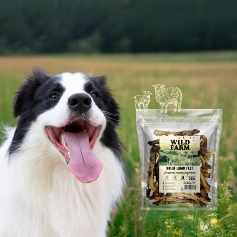 Wild Farm Wild Farm Racice Jagnięce Przysmak Dla Psa 300g