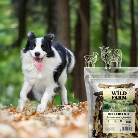 Wild Farm Wild Farm Racice Jagnięce Przysmak Dla Psa 300g